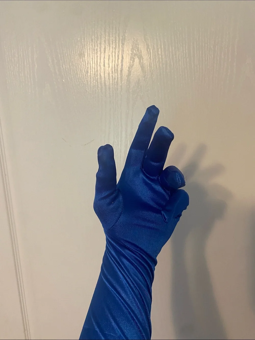 Amazon Long Royal Blue Satin Gloves